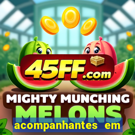 acompanhantes em porto velho